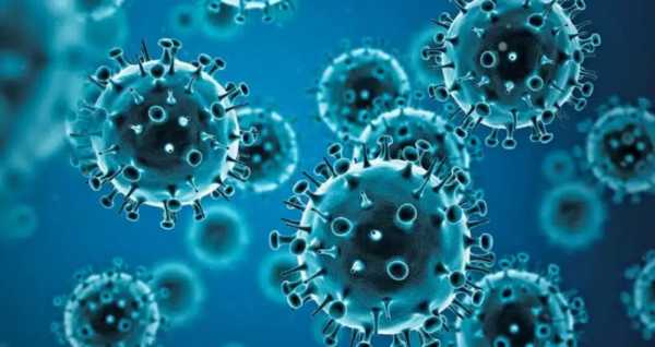 Ερευνητές εντόπισαν για πρώτη φορά αντισώματα που στοχεύουν πολλούς ιούς της γρίπης ταυτόχρονα
