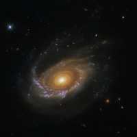 Γκρο πλαν του Hubble σε ένα γαλαξία μέδουσα