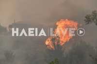 Φωτιά στην Ζαχάρω Ηλείας κοντά σε κατοικημένη περιοχή