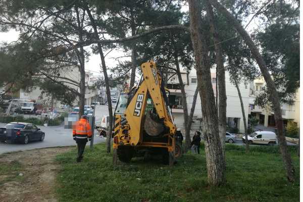 Προχωρούν οι εργασίες κοπής δέντρων στα Δειλινά - Επόμενος σταθμός των συνεργείων ο Άγιος Κωνσταντίνος (vid)