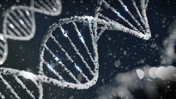 Επιστήμονες εντόπισαν μεταλλάξεις σε έντεκα γονίδια που σχετίζονται με τον επιθετικό καρκίνο του προστάτη